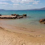 호텔 Sunny Place