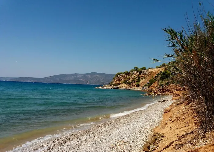 Hotel Sunny Place 4*